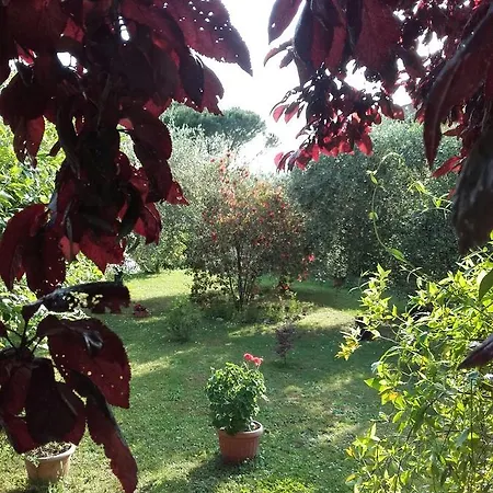 Aliso' Apartment Sarzana