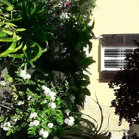 Aliso' Sarzana